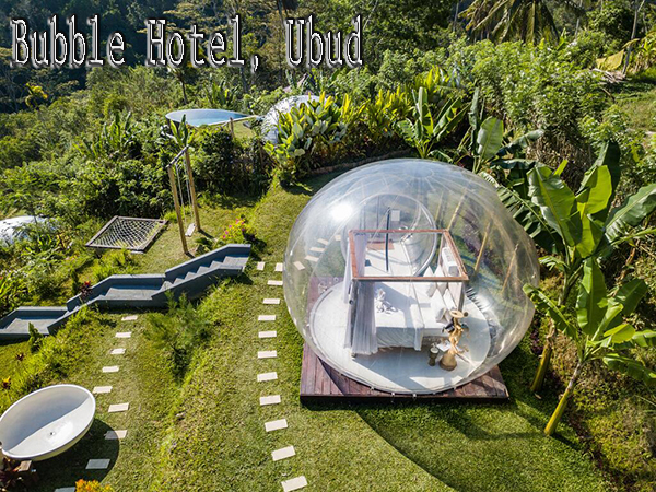 Hotel di Bali Murah dan Bagus Untuk Honeymoon