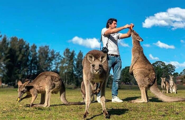 Wisata Alam Australia
